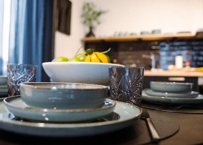 Lio Deluxe Kueche Terrasse Parken Netflix Apartment Lubbecke