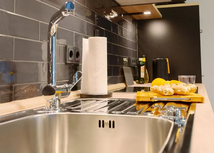 Lio Deluxe Kueche Terrasse Parken Netflix Appartement *